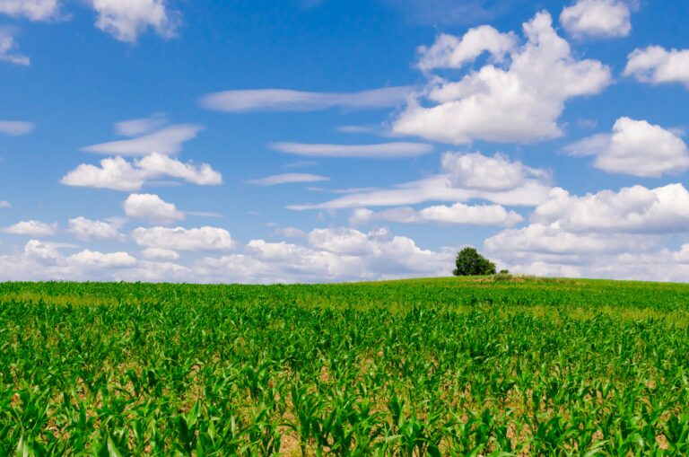 Mähroboter für enge Passagen installieren bei Vorgarten + Hauptfläche: Praxisbeispiel