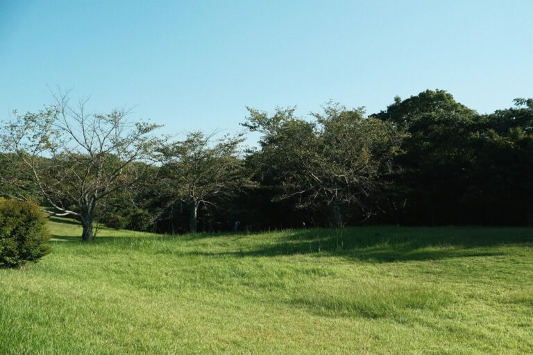 Mähroboter ohne Begrenzungskabel: Die besten Modelle im Test