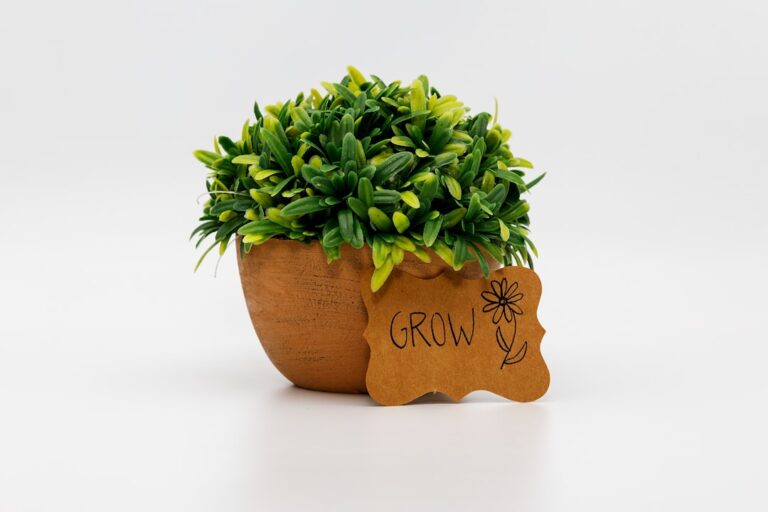 Effektive Rasenpflege mit Grow Produkten für einen grünen, gesunden Garten