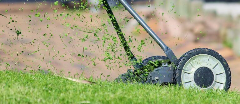 Roboter-Rasenmäher mäht gepflegten dichten Rasen bei optimalen Mähzeiten